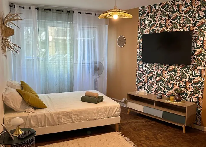 Studio Cosy Saint Charles Centre Ville 3 Personnes